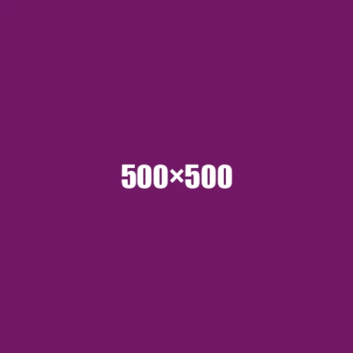 image de remplacement 500 × 500