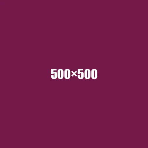 image de remplacement 500 × 500