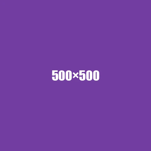 image de remplacement 500 × 500