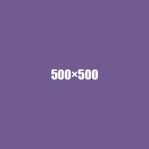 image de remplacement 500 × 500