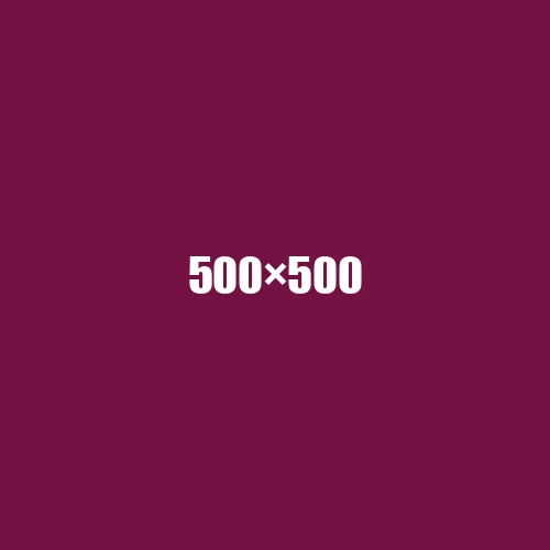 image de remplacement 500 × 500