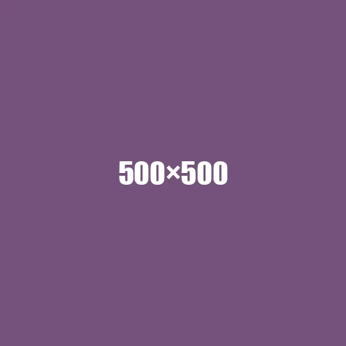 image de remplacement 500 × 500