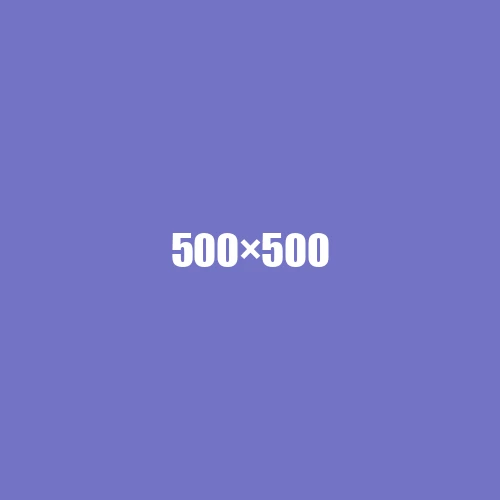 image de remplacement 500 × 500