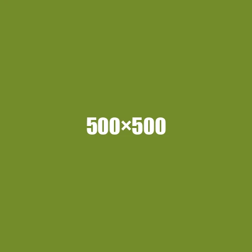 image de remplacement 500 × 500
