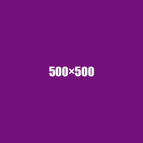 image de remplacement 500 × 500