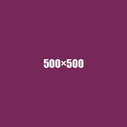 image de remplacement 500 × 500