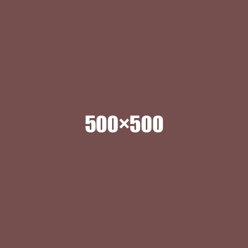 image de remplacement 500 × 500