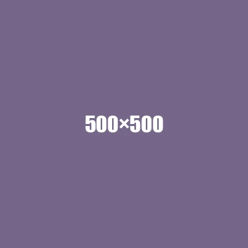 image de remplacement 500 × 500