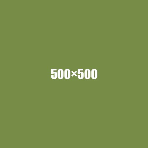 image de remplacement 500 × 500