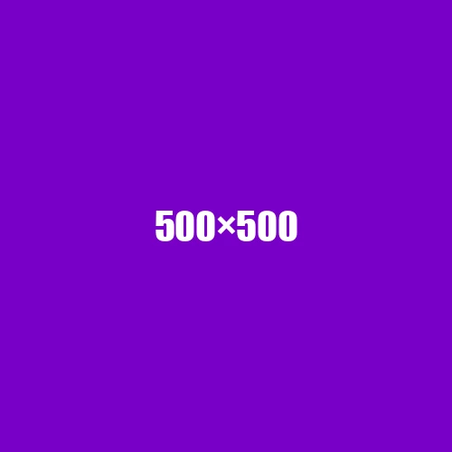 image de remplacement 500 × 500