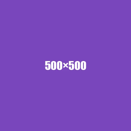 image de remplacement 500 × 500