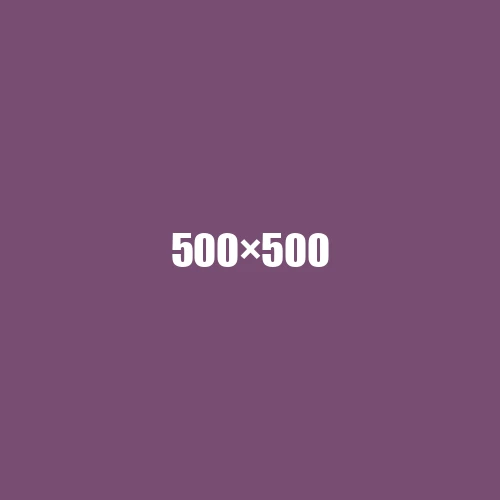 image de remplacement 500 × 500