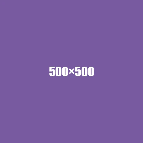 image de remplacement 500 × 500