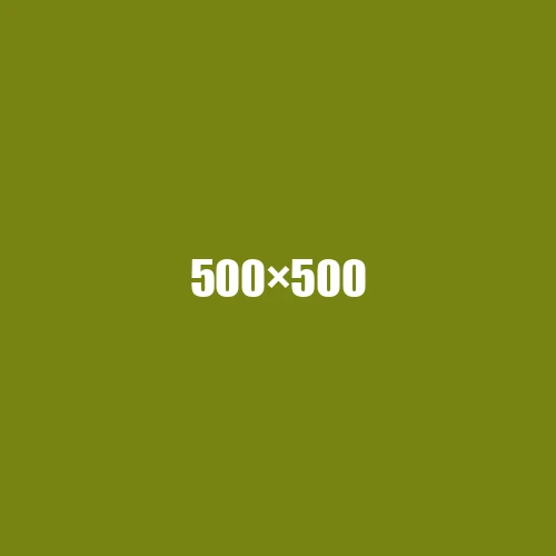 image de remplacement 500 × 500