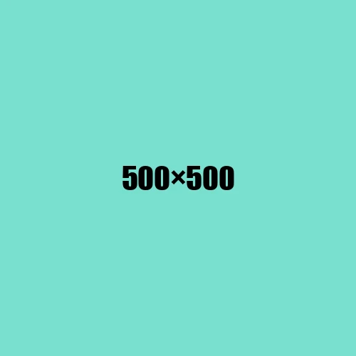 image de remplacement 500 × 500