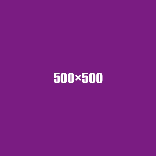 image de remplacement 500 × 500