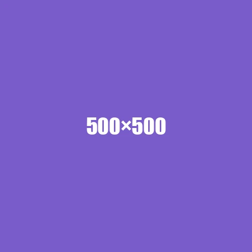 image de remplacement 500 × 500
