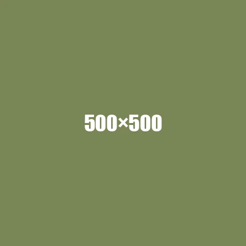image de remplacement 500 × 500