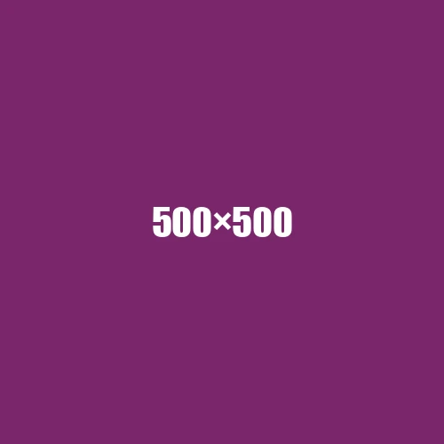 image de remplacement 500 × 500