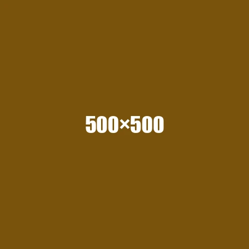 image de remplacement 500 × 500