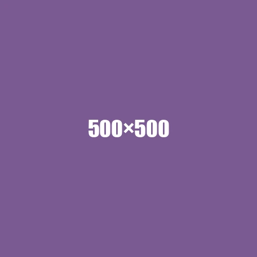 image de remplacement 500 × 500
