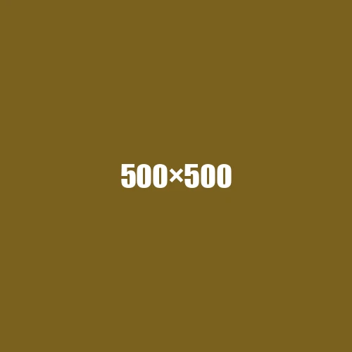 image de remplacement 500 × 500