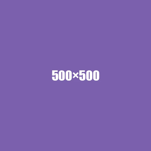 image de remplacement 500 × 500