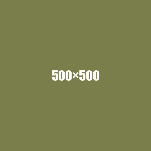 image de remplacement 500 × 500