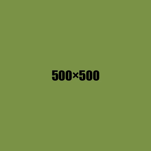 image de remplacement 500 × 500