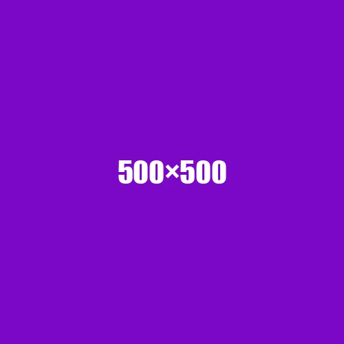 image de remplacement 500 × 500