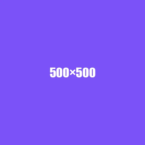 image de remplacement 500 × 500