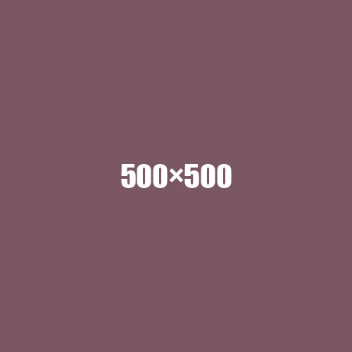 image de remplacement 500 × 500