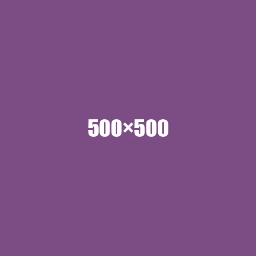 image de remplacement 500 × 500