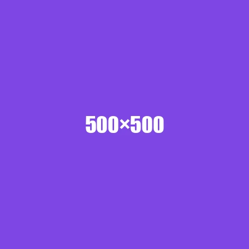 image de remplacement 500 × 500