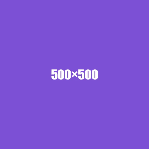 image de remplacement 500 × 500