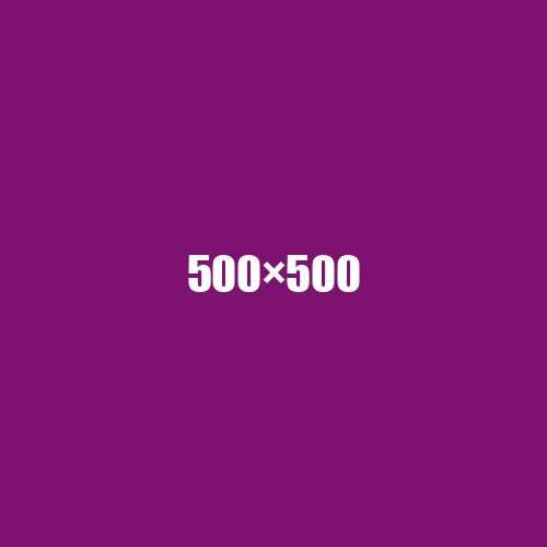 image de remplacement 500 × 500