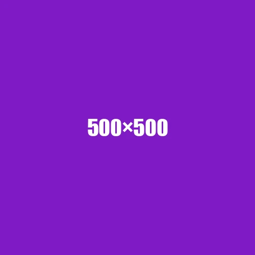 image de remplacement 500 × 500