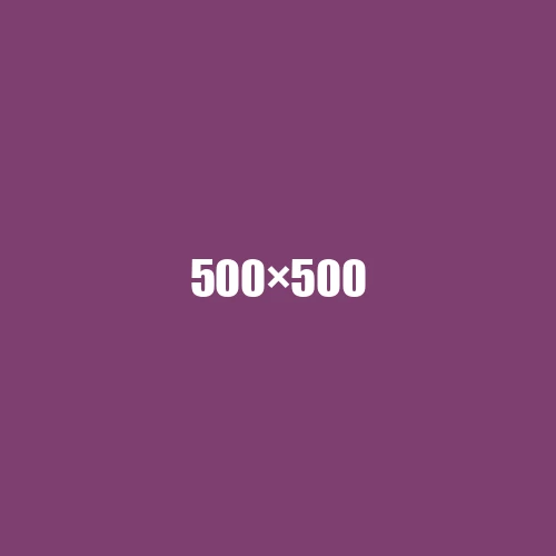 image de remplacement 500 × 500