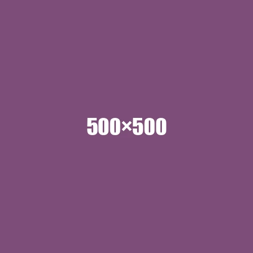 image de remplacement 500 × 500