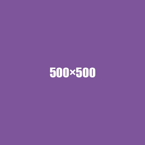 image de remplacement 500 × 500