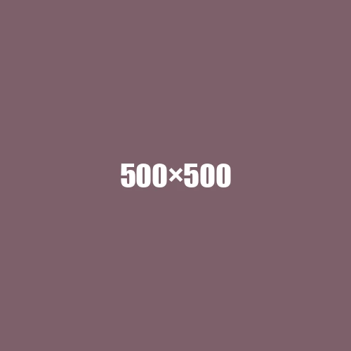 image de remplacement 500 × 500