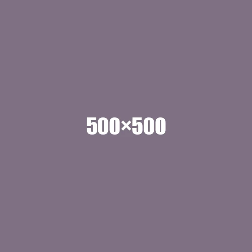 image de remplacement 500 × 500