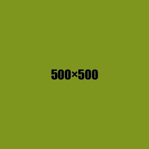 image de remplacement 500 × 500