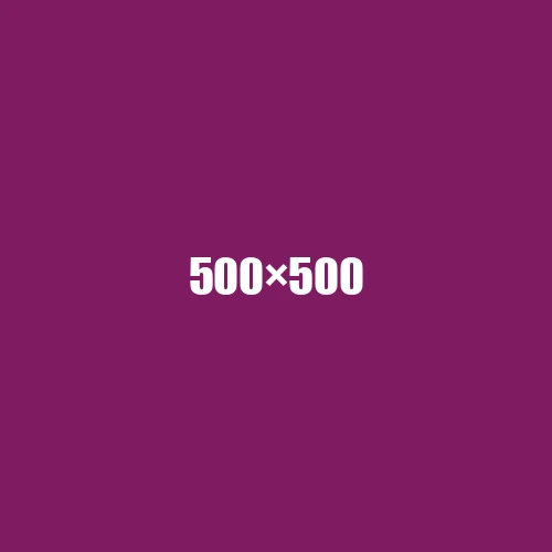 image de remplacement 500 × 500
