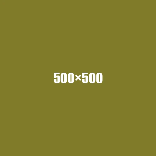image de remplacement 500 × 500