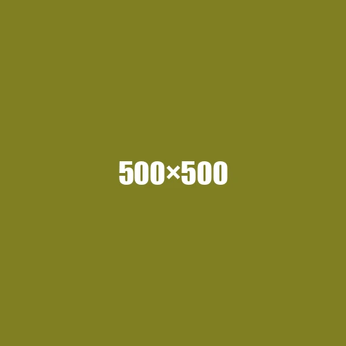 image de remplacement 500 × 500