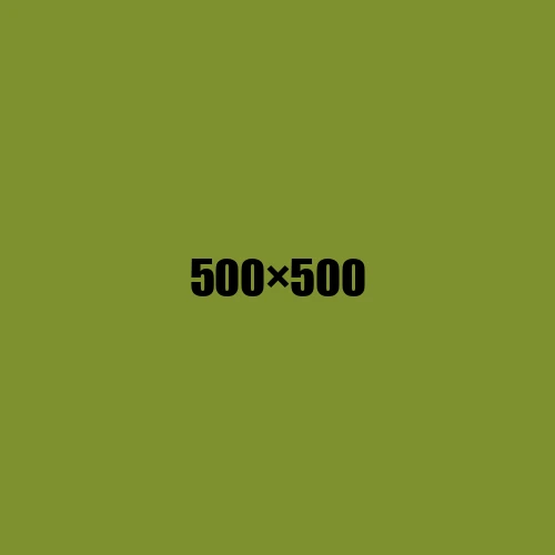 image de remplacement 500 × 500