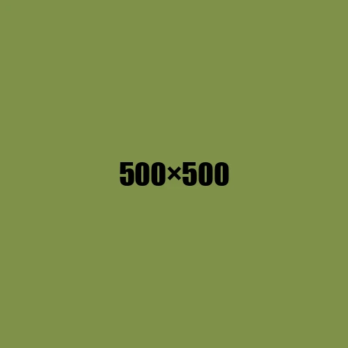 image de remplacement 500 × 500