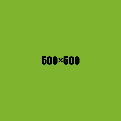 image de remplacement 500 × 500