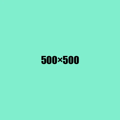 image de remplacement 500 × 500